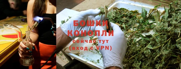 трава Абаза